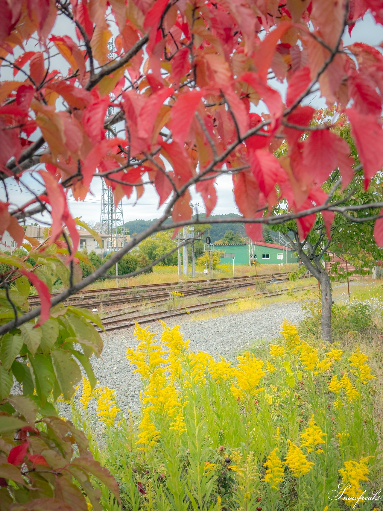 JR栗山駅から自転車で行ける?!初秋の雰囲気が漂いはじめた「北長沼スキー場」の山頂付近まで、折りたたみ電動アシスト自転車『ADO Air Carbon』で行ってみました♪